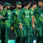 لاس اینجلس کے جنگلات میں لگی آگ نے 29 ہزار ایکڑ سے زائد رقبے کو لپیٹ میں لے لیا
