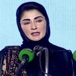 حکومت نے پٹرولیم مصنوعات کی قیمتوں میں اضافہ کردیا