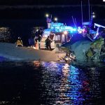 سعودی لیبر مارکیٹ میں کارکنوں کی تعداد میں 36 فیصد اضافہ ریکارڈ