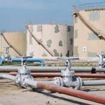 زراعت معیشت کی ریڑھ کی ہڈی، جدید بنانے کیلئے کام کرنا ہوگا: گورنر سٹیٹ بینک