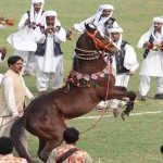 پی سی بی کا تاریخی اقدام، مینز ٹیم کیلئے پہلی بار خاتون منیجر تعینات